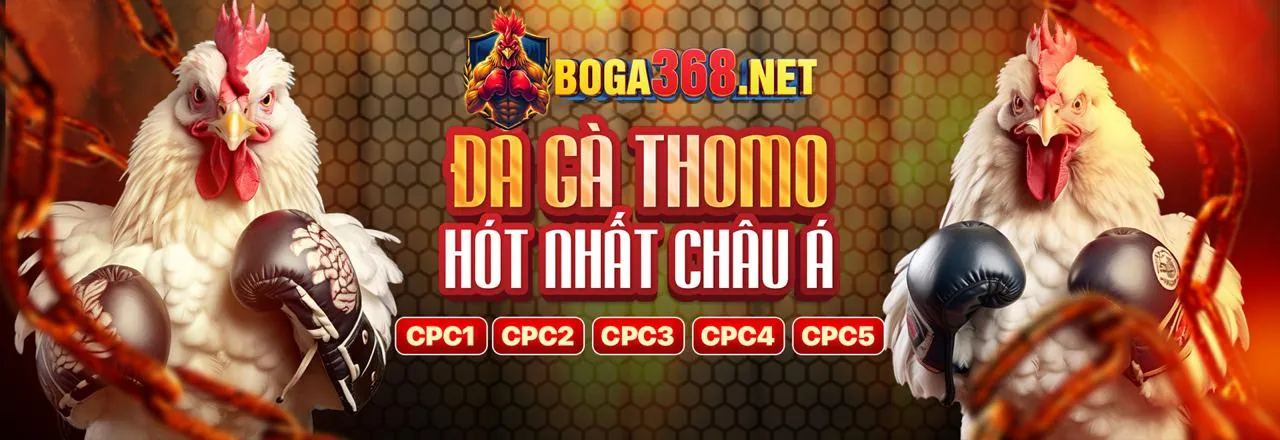 Truy cập trang chủ letou1 đăng nhập